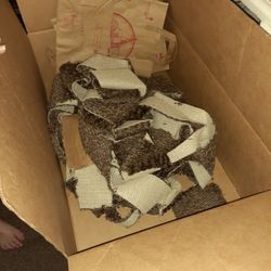 Free Carpet Scraps/ Strips For Cat Tree Etc