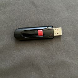 Sandisk 32 gb flash drive