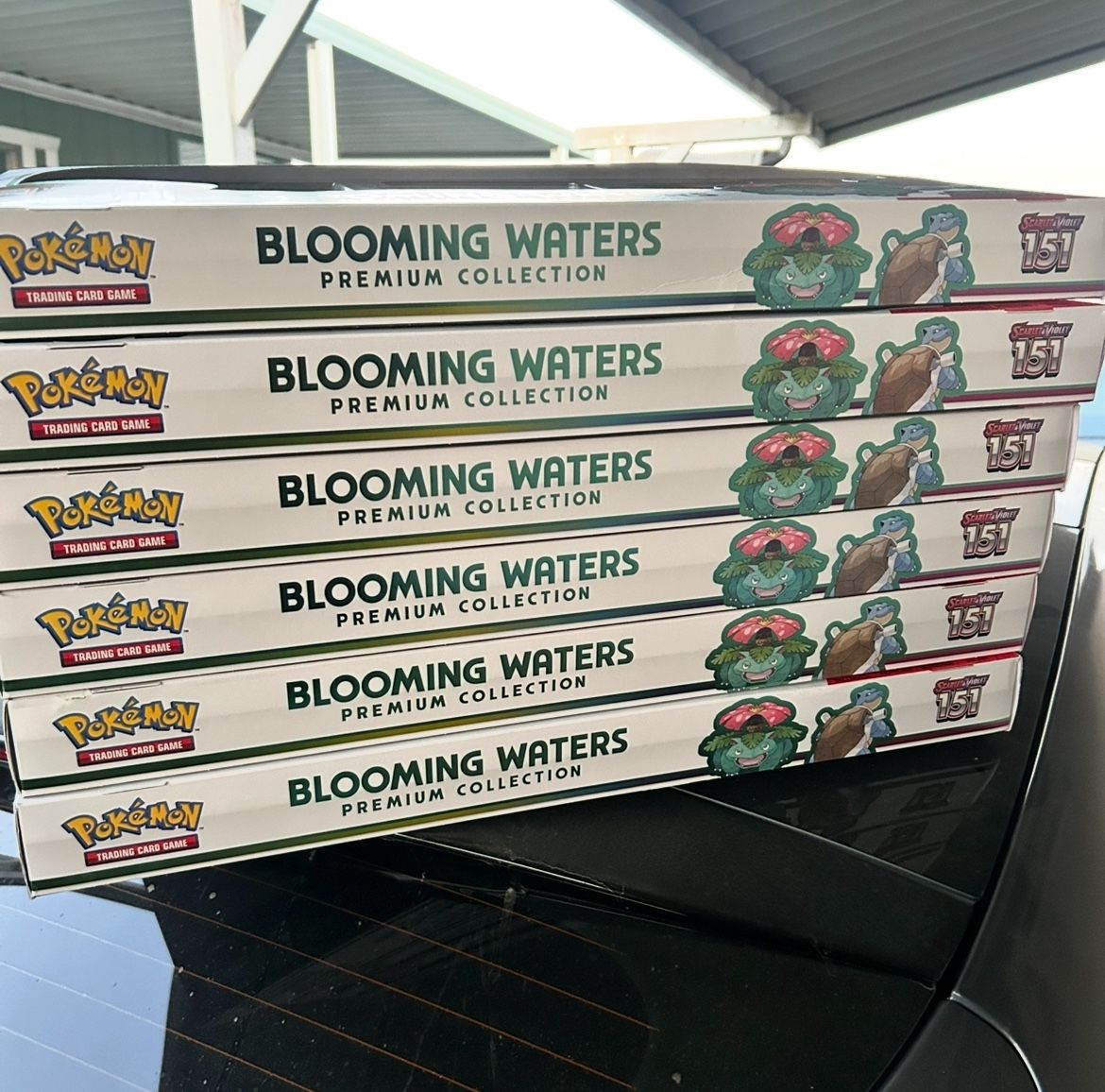 Blooming Waters