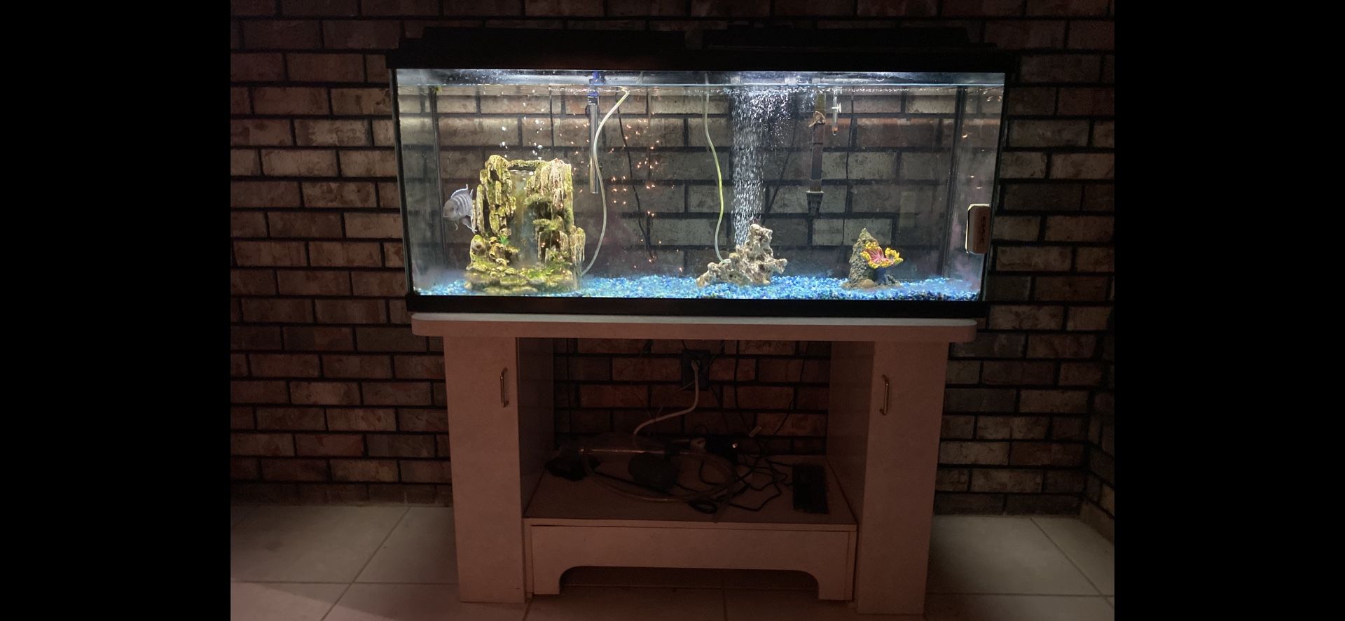 55 Gal Fish Tank 