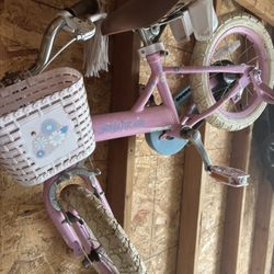 Pink Bike