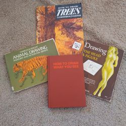 Drawing Books - Art