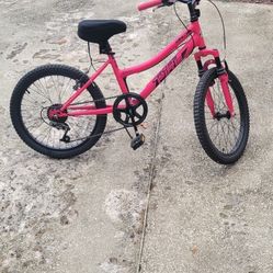 Bicycle 20" Girls Mountain Bike