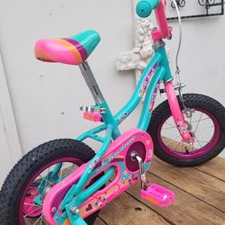 Like New Schwinn Duet 12
