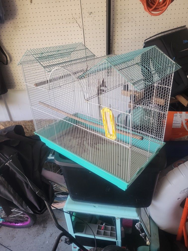 Bird Cage