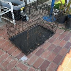 Dog Kennel