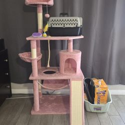 Cat Tree Tower, Kennel, Litter Box,  Matt, Brush...