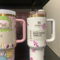 Stanley Labubu Mugs 
