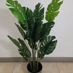 5ft Faux Monstera in a 12in (Diameter) Green Resin Planter @ Lasting Creations
