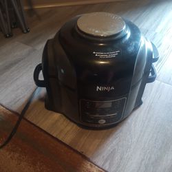 Ninja Air Fryer 