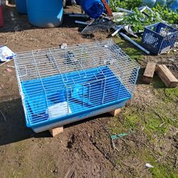 Hamster Cage