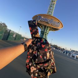 Disneyland Sling Bag