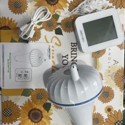 Floating Pool Thermometer 