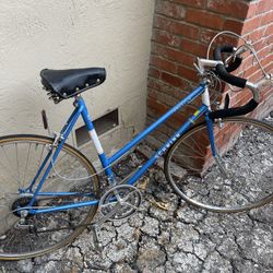 Vintage Schwin Traveler