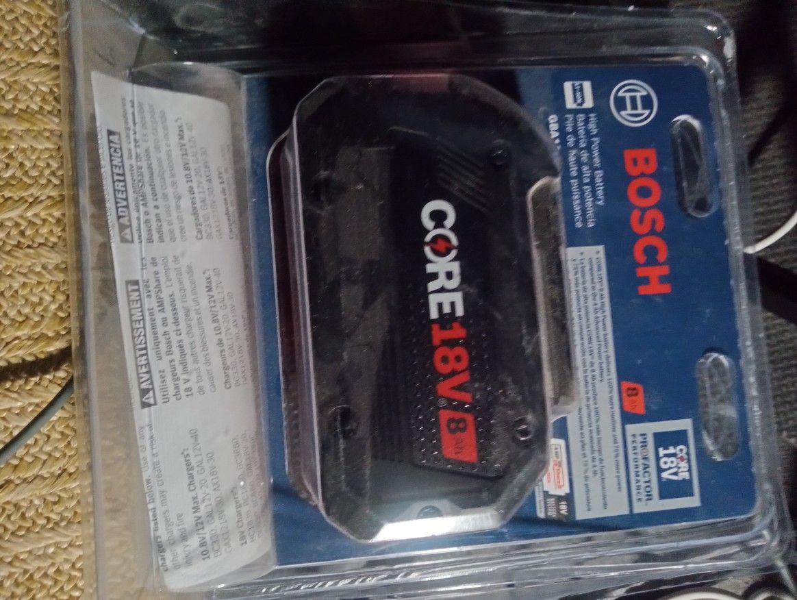 CORE BOSCH BATTERY 