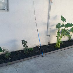 Fishing Pole 