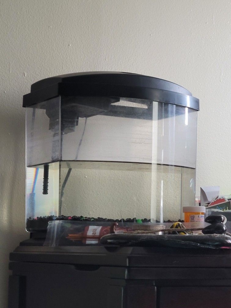 5 Gallon LED Fish Tank By Aqueon 