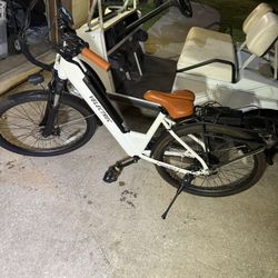 Electric E-BIKE 1000W