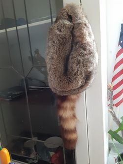 Davy Crockett 's hat styled