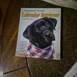 Training Ur Lab