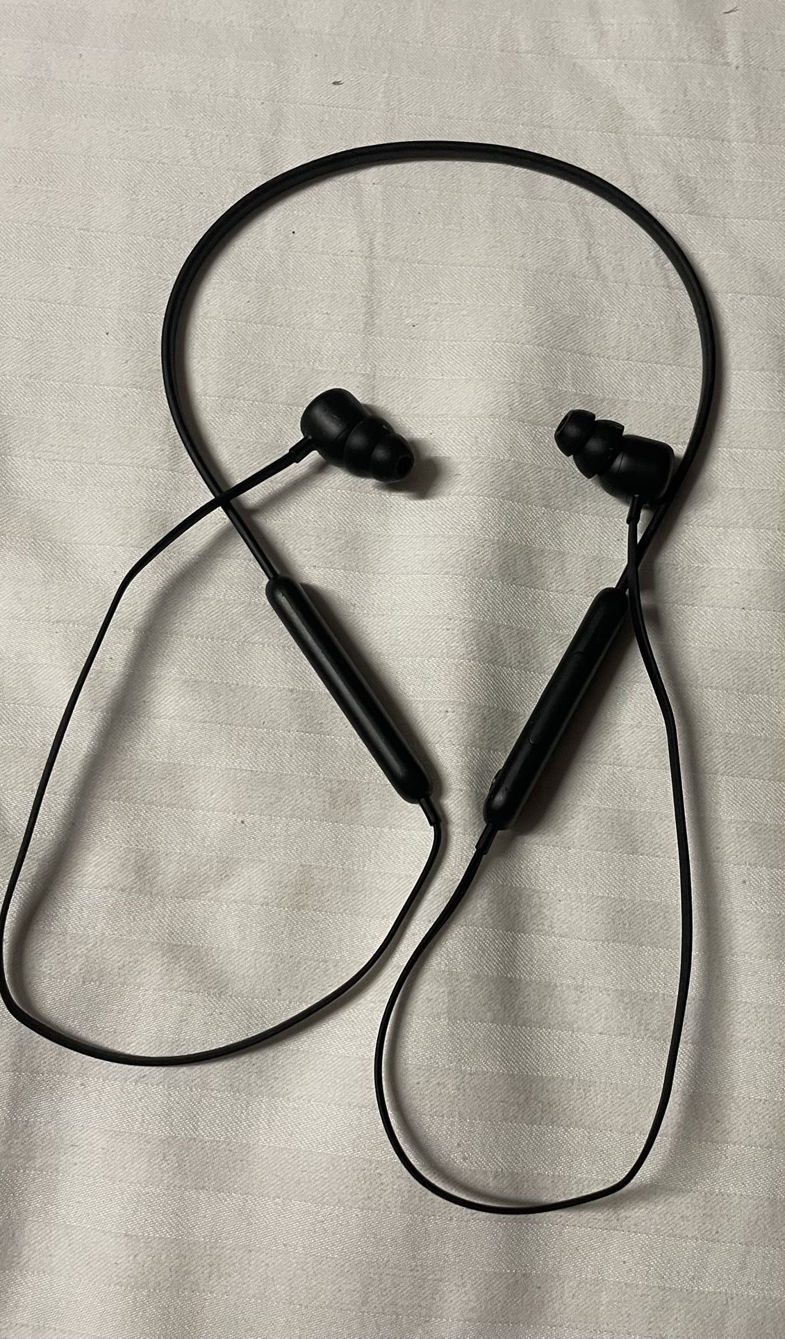 Earbuds/Headphones