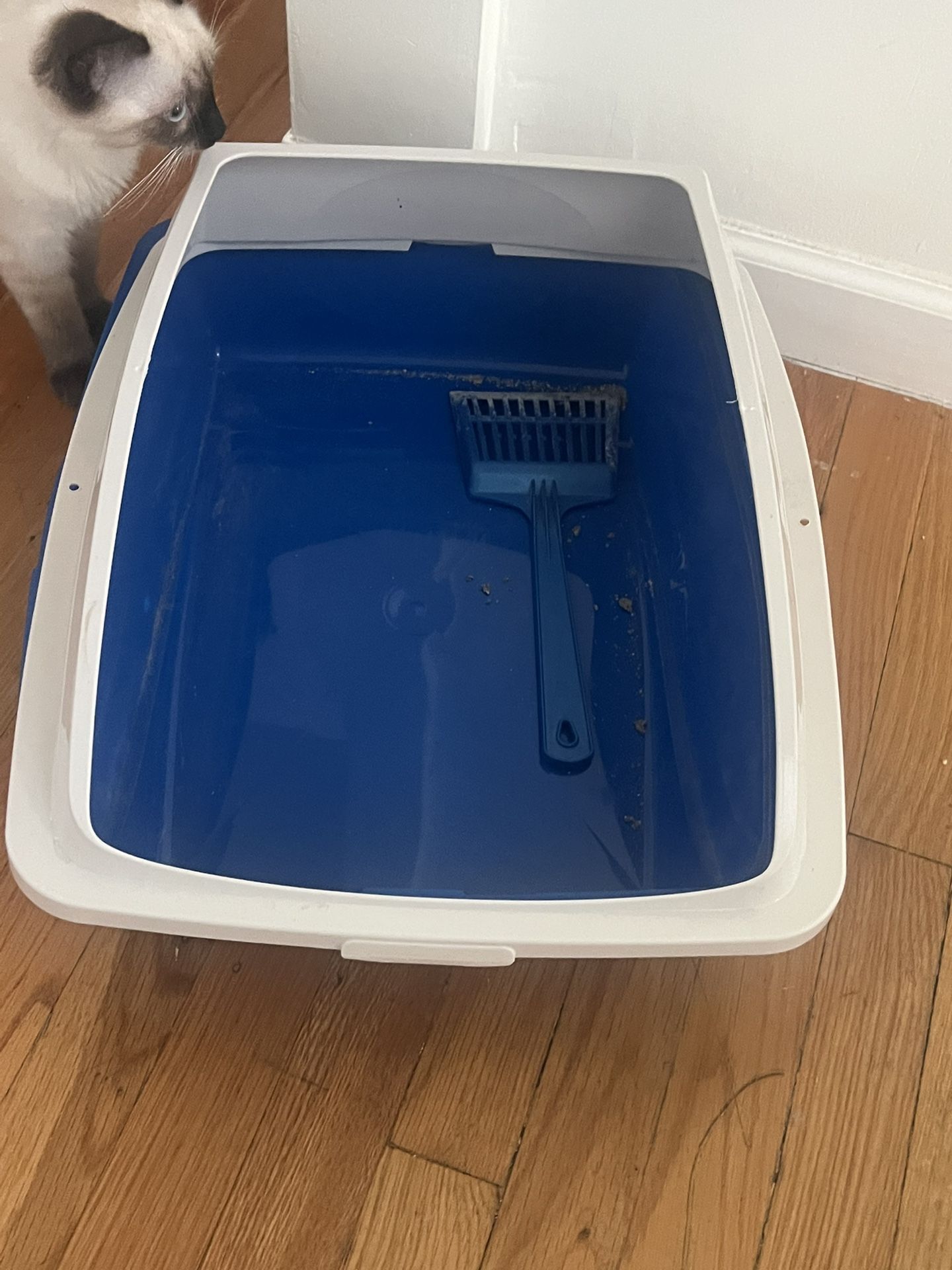 Cat Litter Box