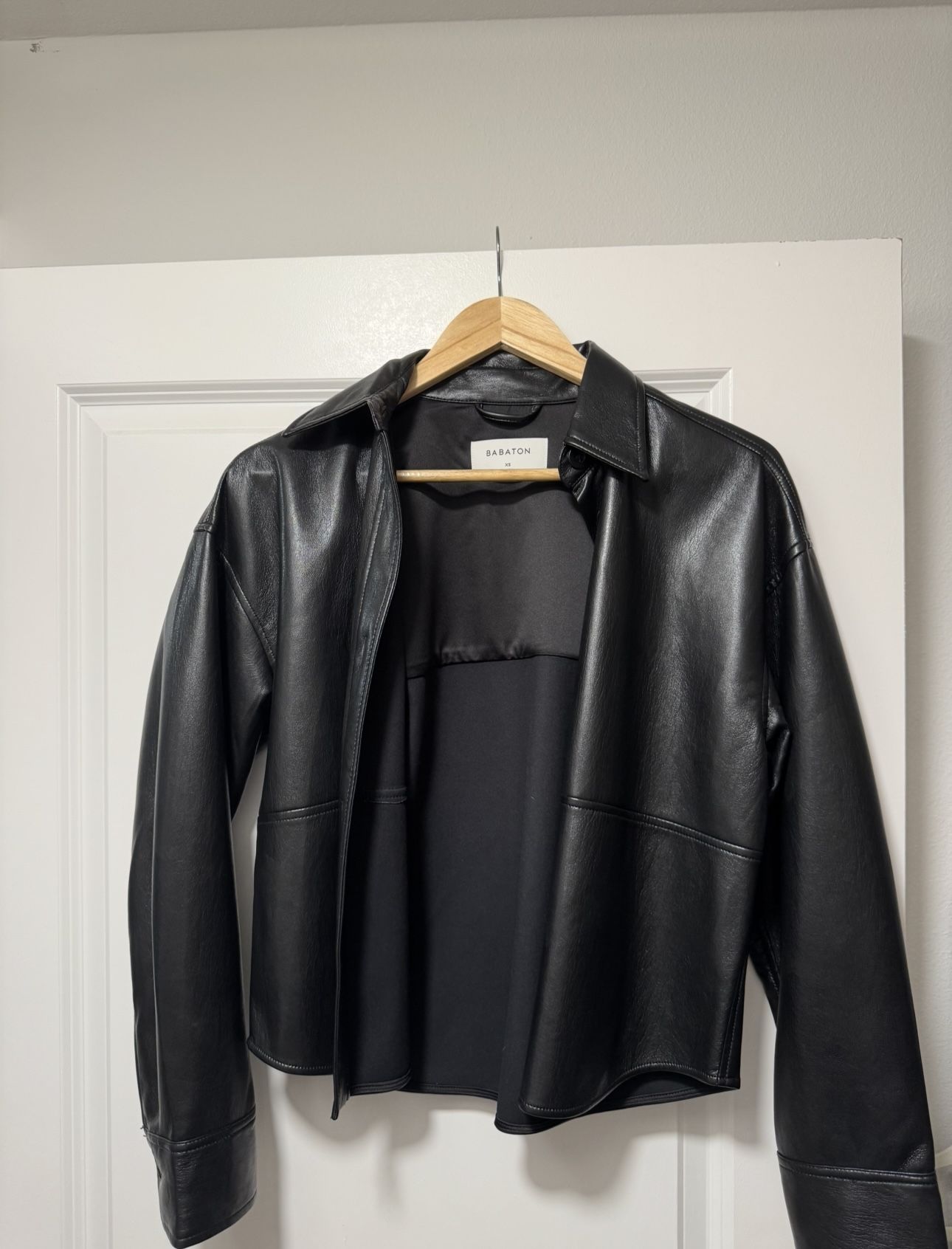 Aritzia Leather Jacket