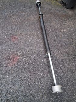Torsion spring door assist