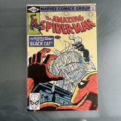 The Amazing Spider-Man #205  June
