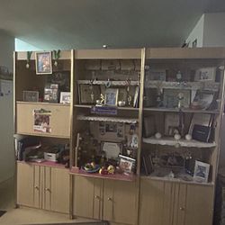 Bookcase Shelves With Cabinet Doors