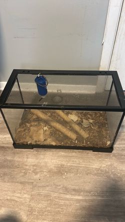 40 gallon tank