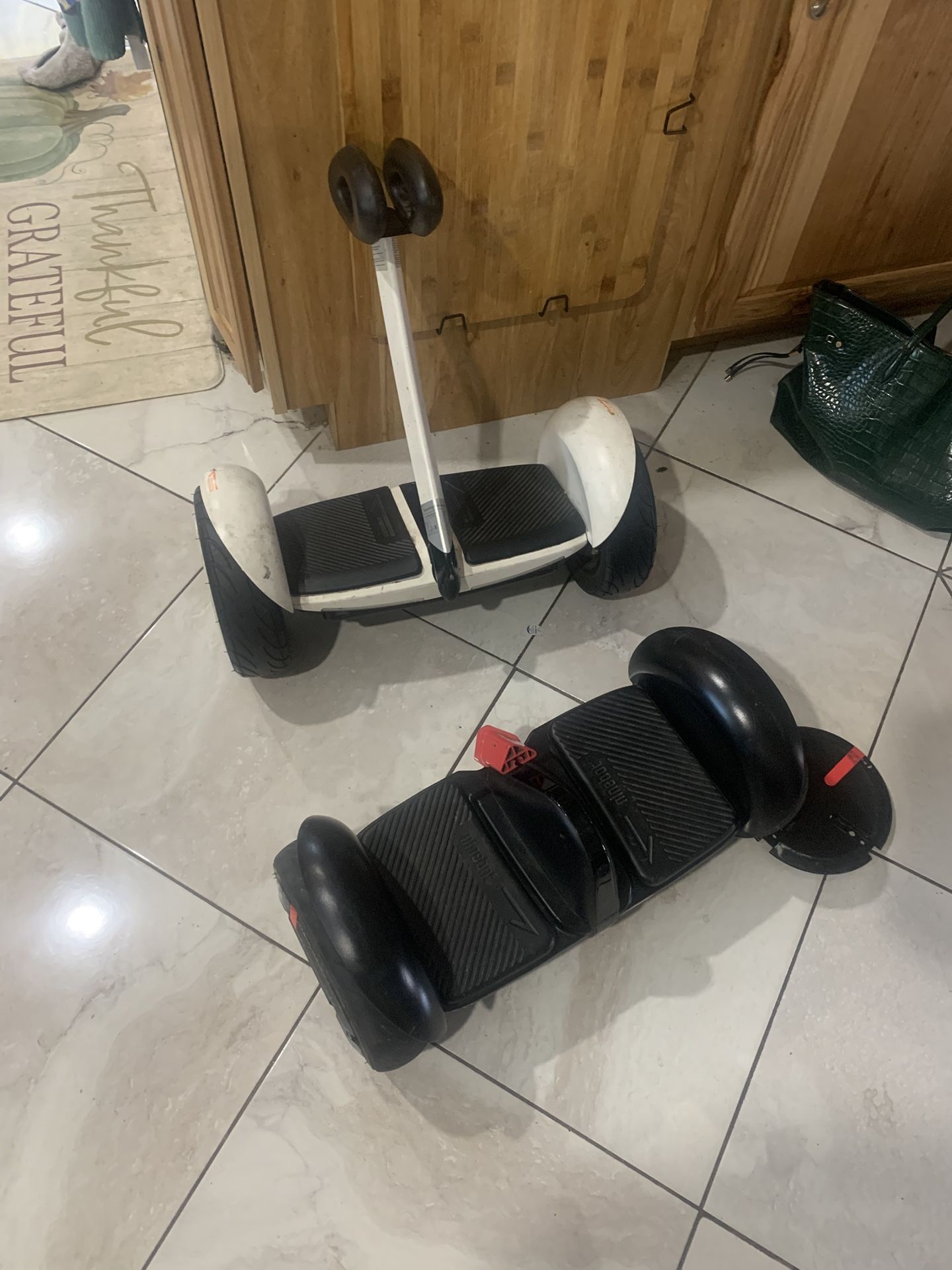 Segway Mini Pro