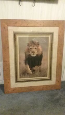 Beautiful lion picture in frame