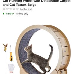  Cat Exercise Wheel, Large Cat Treadmill Wheel for Indoor Cats