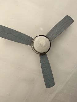 Ceiling Fan