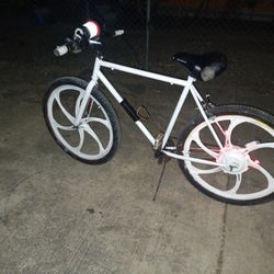 🖐🚴‍♂️🚴‍♀️FIXIE FRAME WITH 26 IN MAGS W/EBIKE HUB ON BACK MAG