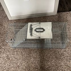 Animal Trap