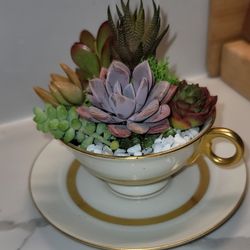 Vintage Theodore Haviland New York Gotham TEA CUP SUCCULENT Arrangement 