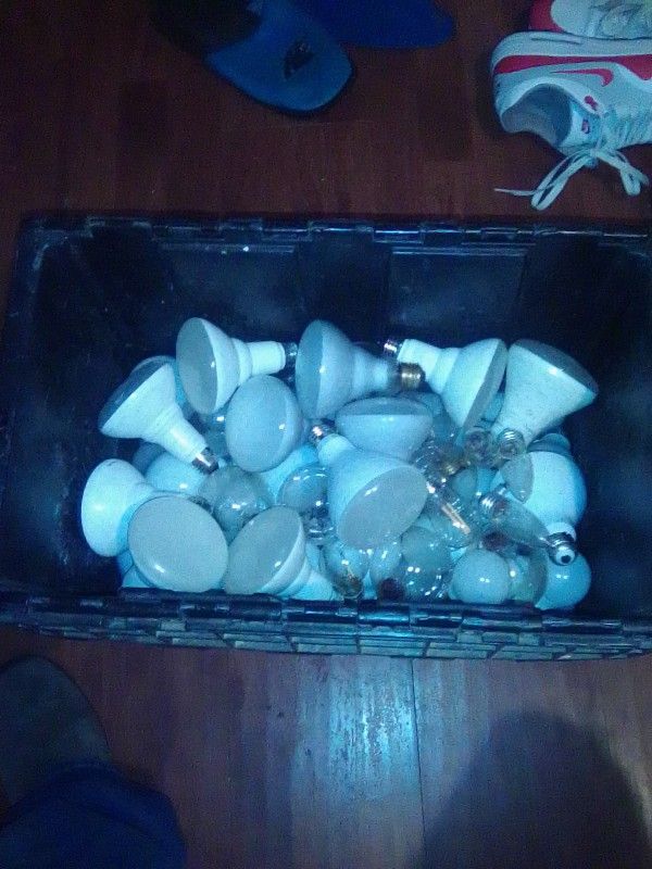 64 Bulbs  In Tote
