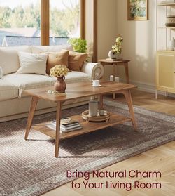 Coffee Table, 2-Tier Living Room Table with Storage, Center Table with Rounded Corners, 21.7 x 39.4 x 17.7 Inches, Easy to Assemble, Honey Brown ULCT2