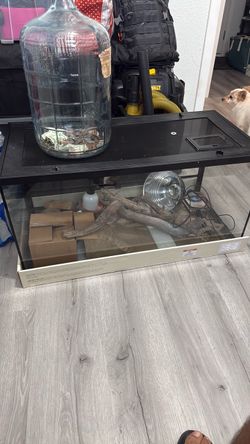 Reptile tank