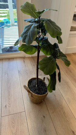 FREE fake plant in planter