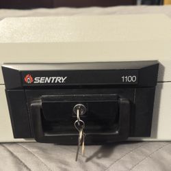 Sentry Safe 1100