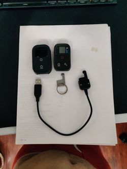 GoPro Remote (Not The Cheaper Model)