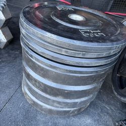 Bumper Plates
