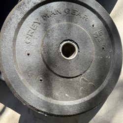 35 lb Bumper Weights (2)