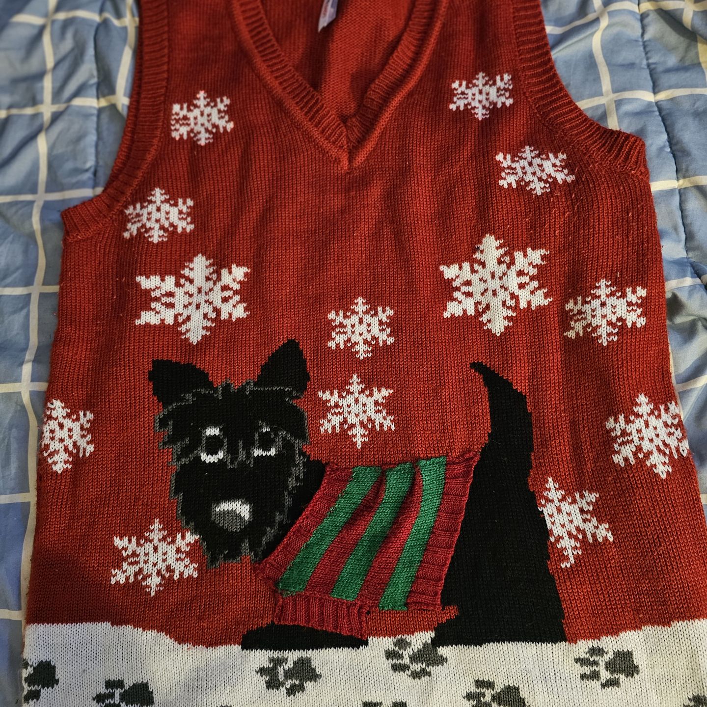 $15βοΈβοΈπ§πCHRISTMASβοΈβοΈπ§ sweater vest. Size M. $15π