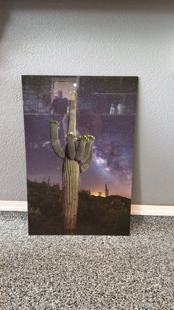 Saguaro Cactus Night Sky Acrylic Photo Print - 1 of 1