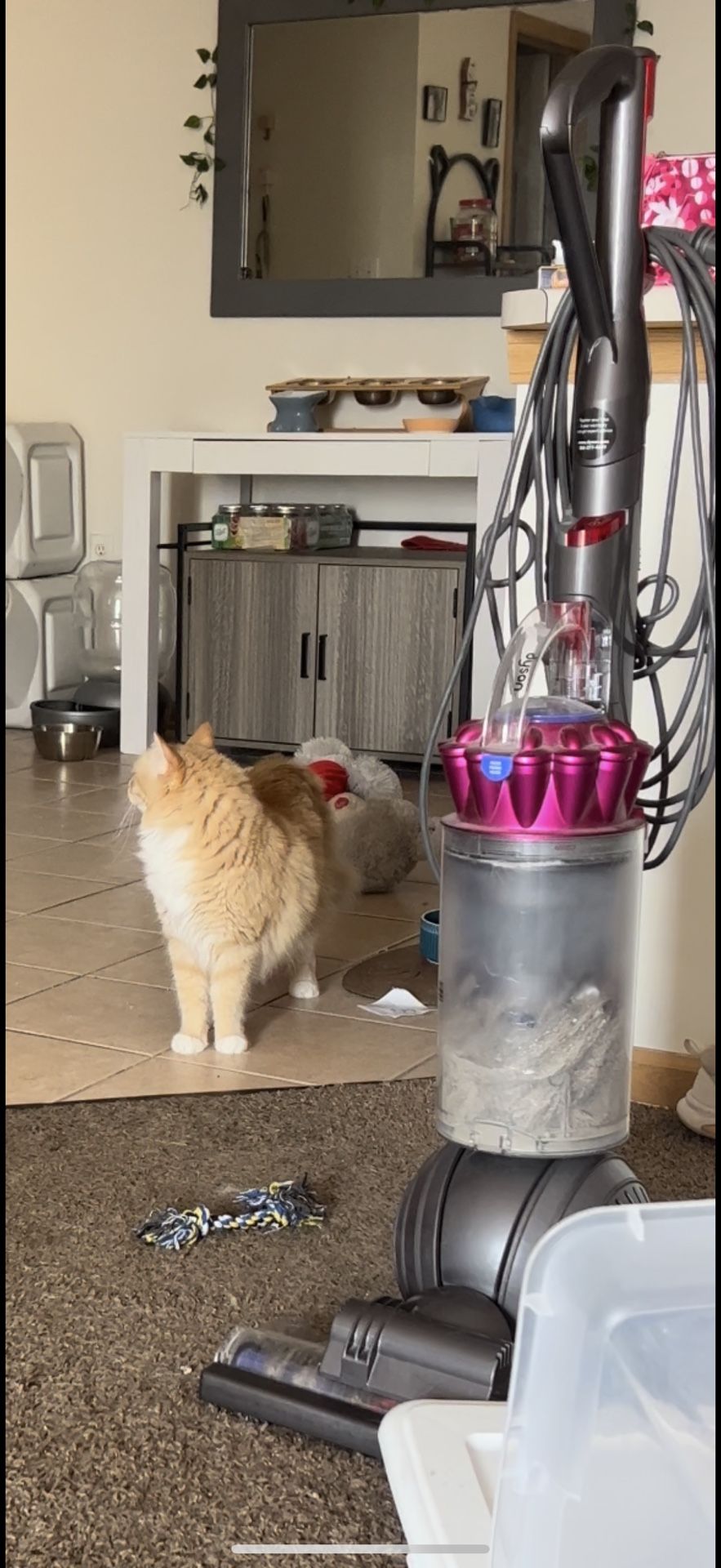 Trade- Dyson Vacuum