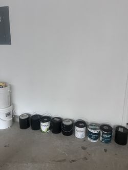 Paint